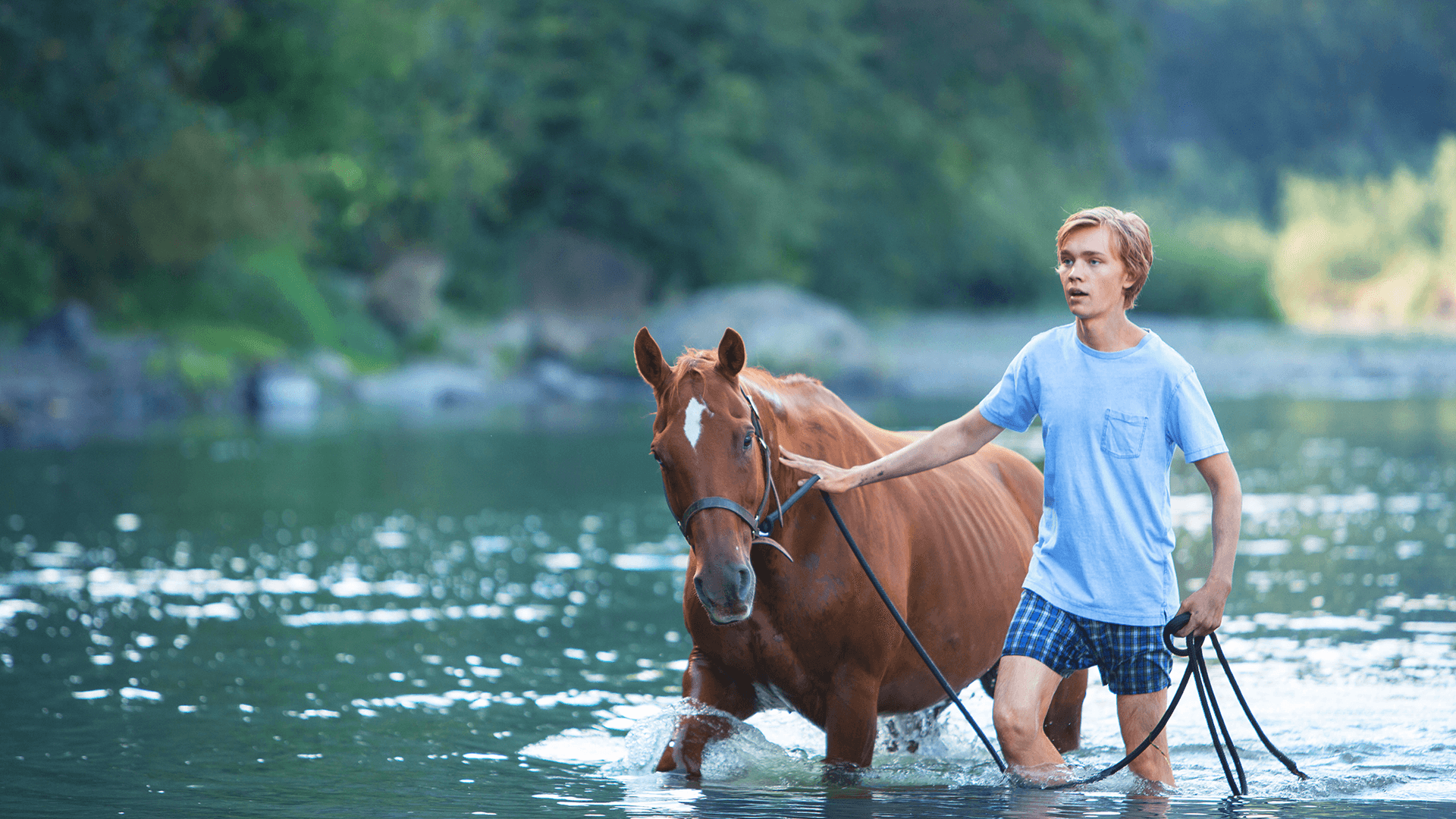 『荒野にて』 少年と馬の境遇が映し出したのは、現代の“アメリカ”