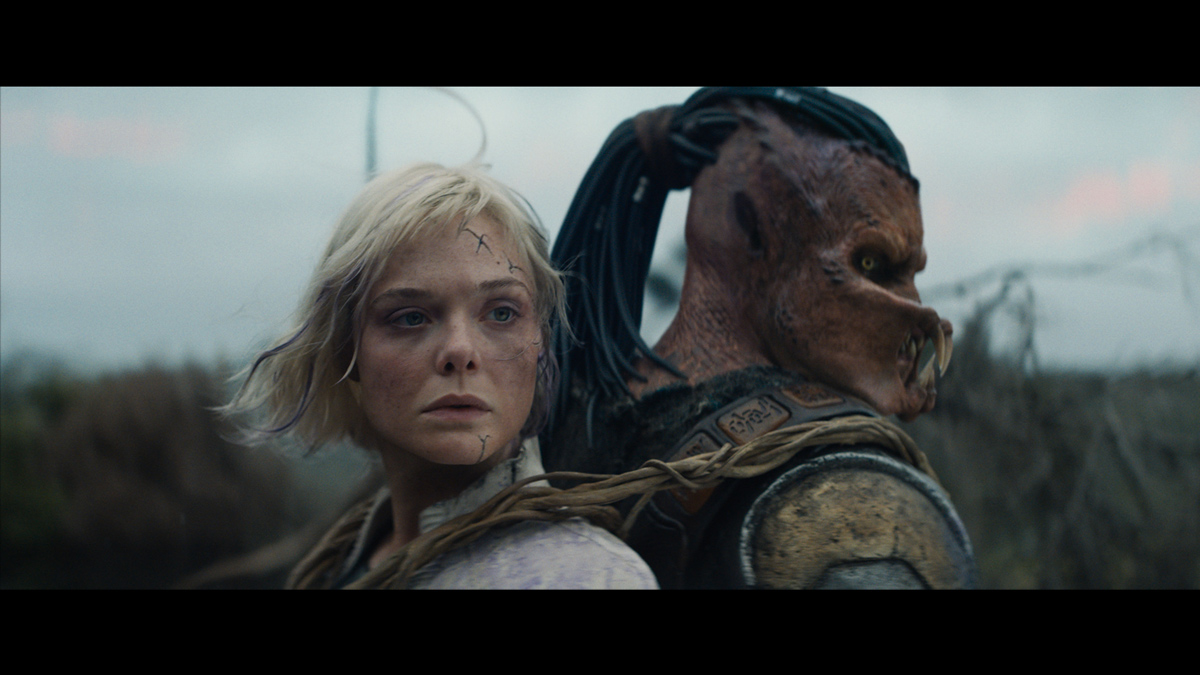 今週のおすすめ　2025年11月7日（金）新作映画 『プレデター：バッドランド』/ 旧作映画『ミッドサマー』